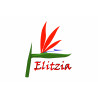 Elitzia