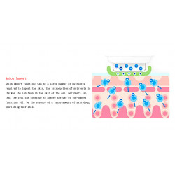 Elitzia ETBZ0110B 6 In 1 Multifunctional Color Light Ion Ultrasonic EMS Body Massage Slimming Instrument