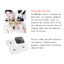 Elitzia ETBZ0110B 6 In 1 Multifunctional Color Light Ion Ultrasonic EMS Body Massage Slimming Instrument