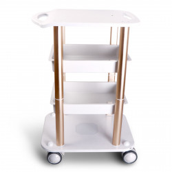 Beauty Salon Trolley Spa Styling Pedestal Rolling Cart Two Shelf ABS Aluminum Elitzia ETTROLLEY5