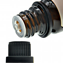 Essence Oil Set Aromatherapy Essential Oil Relax Body Massage Oil 10ML Per Bottle 6pcs A Box Elitzia ETMS020