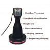 Elitzia Moxibustion Brush Body Shaping Vibration Electromagnetic Waves massage Hot wave warm Electrostatic No Side Effects ET019