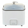 Beauty Salon Body Massage Volcanic Stone Heater Massager For Back Elitzia ETPS325