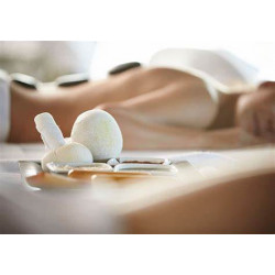Beauty Salon Body Massage Volcanic Stone Heater Massager For Back Elitzia ETPS325