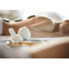 Beauty Salon Body Massage Volcanic Stone Heater Massager For Back Elitzia ETPS325