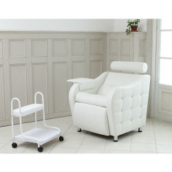 Pedicure Trolley Nail Salon Rolling Foot Basin Cart Foot Bath Foot Massage Tool Elitzia ETST22