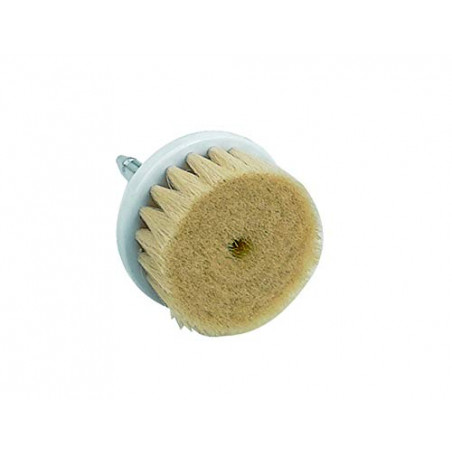 Facial Care Skin Cleansing Replacement Face Cleansing Brush Heads 6 Types Option Elitzia ETFB6 (Large wool brush)