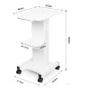 Beauty Salon Trolley Spa Facial Trolley Cart Ultrasonic Cavitation 40k Iron Trolley Stand Salon Cart Elitzia ETTRLLEY7