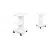 Beauty Salon Trolley Spa Facial Trolley Cart Ultrasonic Cavitation 40k Iron Trolley Stand Salon Cart Elitzia ETTRLLEY7