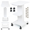 Beauty Salon Trolley Spa Facial Trolley Cart Ultrasonic Cavitation 40k Iron Trolley Stand Salon Cart Elitzia ETTRLLEY7