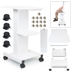 Beauty Salon Trolley Spa Facial Trolley Cart Ultrasonic Cavitation 40k Iron Trolley Stand Salon Cart Elitzia ETTRLLEY7