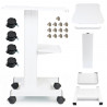 Beauty Salon Trolley Spa Facial Trolley Cart Ultrasonic Cavitation 40k Iron Trolley Stand Salon Cart Elitzia ETTRLLEY7