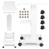 Beauty Salon Trolley Spa Facial Trolley Cart Ultrasonic Cavitation 40k Iron Trolley Stand Salon Cart Elitzia ETTRLLEY7