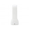 Skin Beauty Tools Face Care RF Skin Lifting Device Elitzia ETSC258