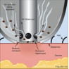 Water Diamond Peel Micro Diamond dermabrasion Machine SPA Water Peel System Facial Skin peeling cleaning ETSPA90