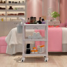 Salon Furniture Spa Beauty Trolley Rolling Cart With Waste Bin Three Layers With Drawer 6 Types Optional Elitzia ET005(Gray)