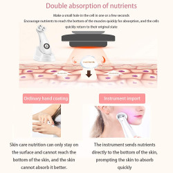 Anti Aging Facial Massager RF LED Light EMS Micro Current Skin Beauty Device Home Use Elitzia ETKD9900