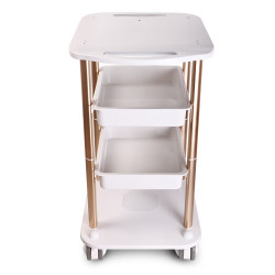 Beauty Salon Furniture Trolley Spa Styling Pedestal Rolling Cart Two Shelf ABS Aluminum Elitzia ETTRO5