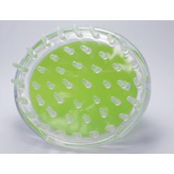 Plastic Silicone Head Massager Hair Comb Hair Massage Scalp Brush Shampoo Brush 3 Colors Optional Elitzia ETHSF12（Green）