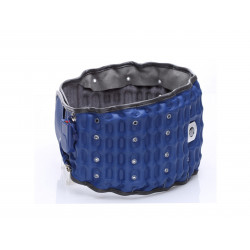 Health Care Waist Belt Tractor Massager Electric Lumbar Traction Support Device Hot Moxibustion Physiotherapy Elitzia ETCR151