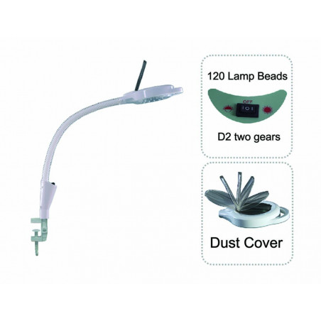 Led Cold Light Magnifying Lamp 5 Times Magnification Compact Clamp Type For Facial Care Tattoo Or Reading Elitzia ETH3006D2