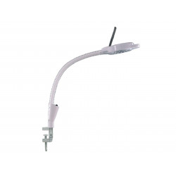 Led Cold Light Magnifying Lamp 5 Times Magnification Compact Clamp Type For Facial Care Tattoo Or Reading Elitzia ETH3006D2