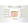 copy of Body Shaper Weight Loss Far Infrared Heating Slimming Blanket 8 Types Options Elitzia ETPQ016
