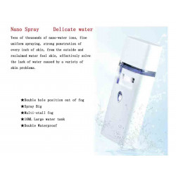 Elitzia ETF825 Double Head Dual Cavity Nanometer Mist Cold Sprayer Facial Moisturizing