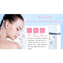 Elitzia ETF825 Double Head Dual Cavity Nanometer Mist Cold Sprayer Facial Moisturizing